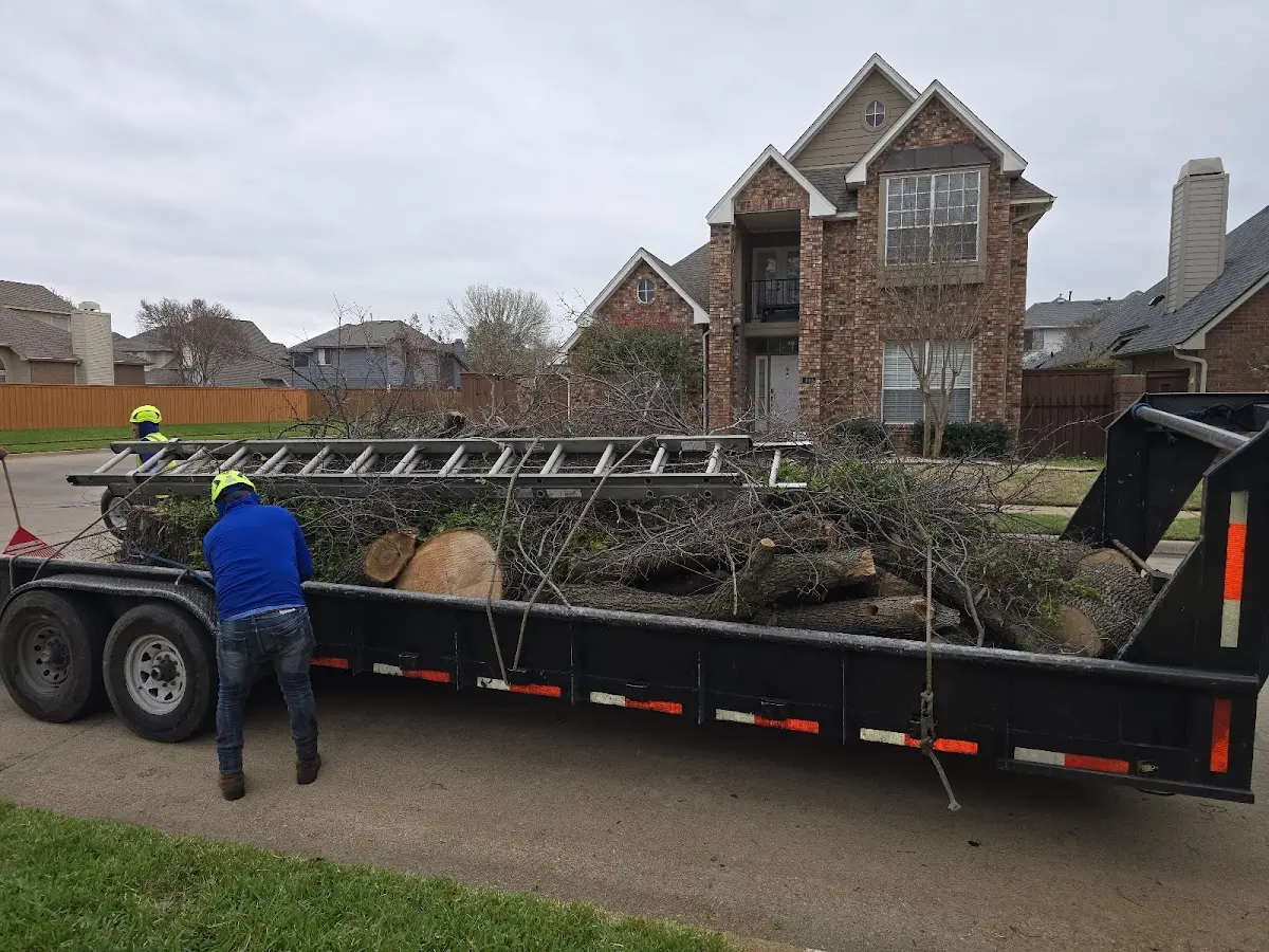 Expert Tree Fertilization with proper safety equipment in Groveland